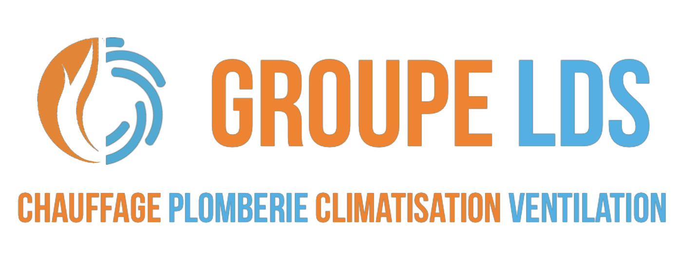 Groupe LDS